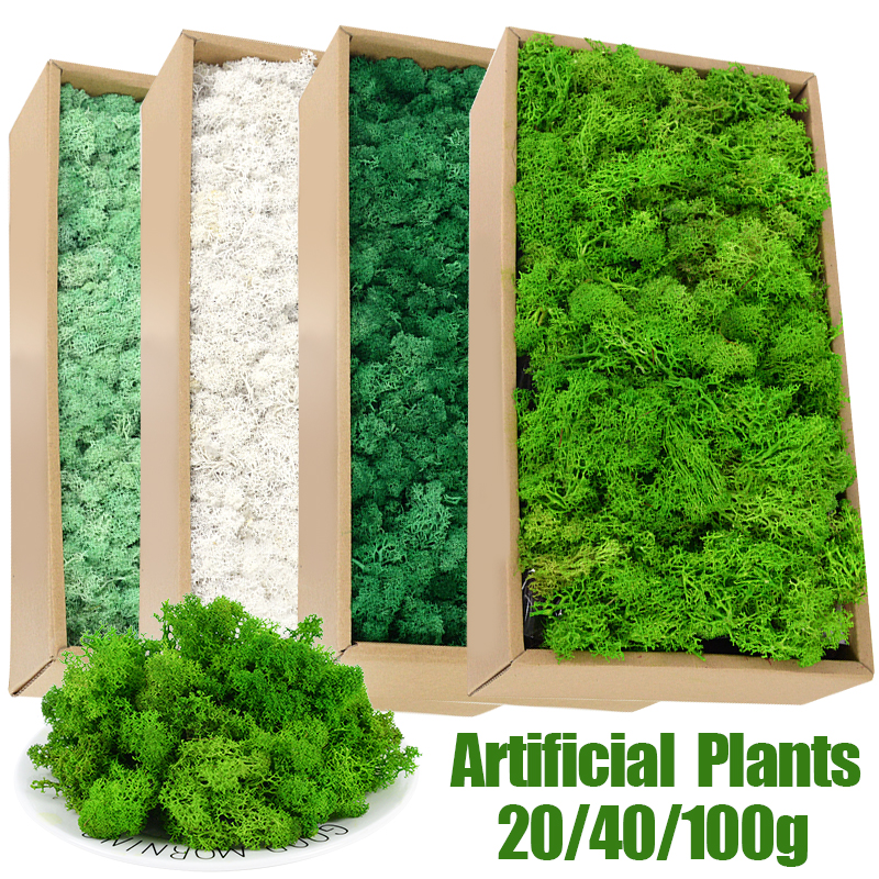 Sphagnum Moss Dry - 20/40/100g Artificial Green Plants Eternal Life