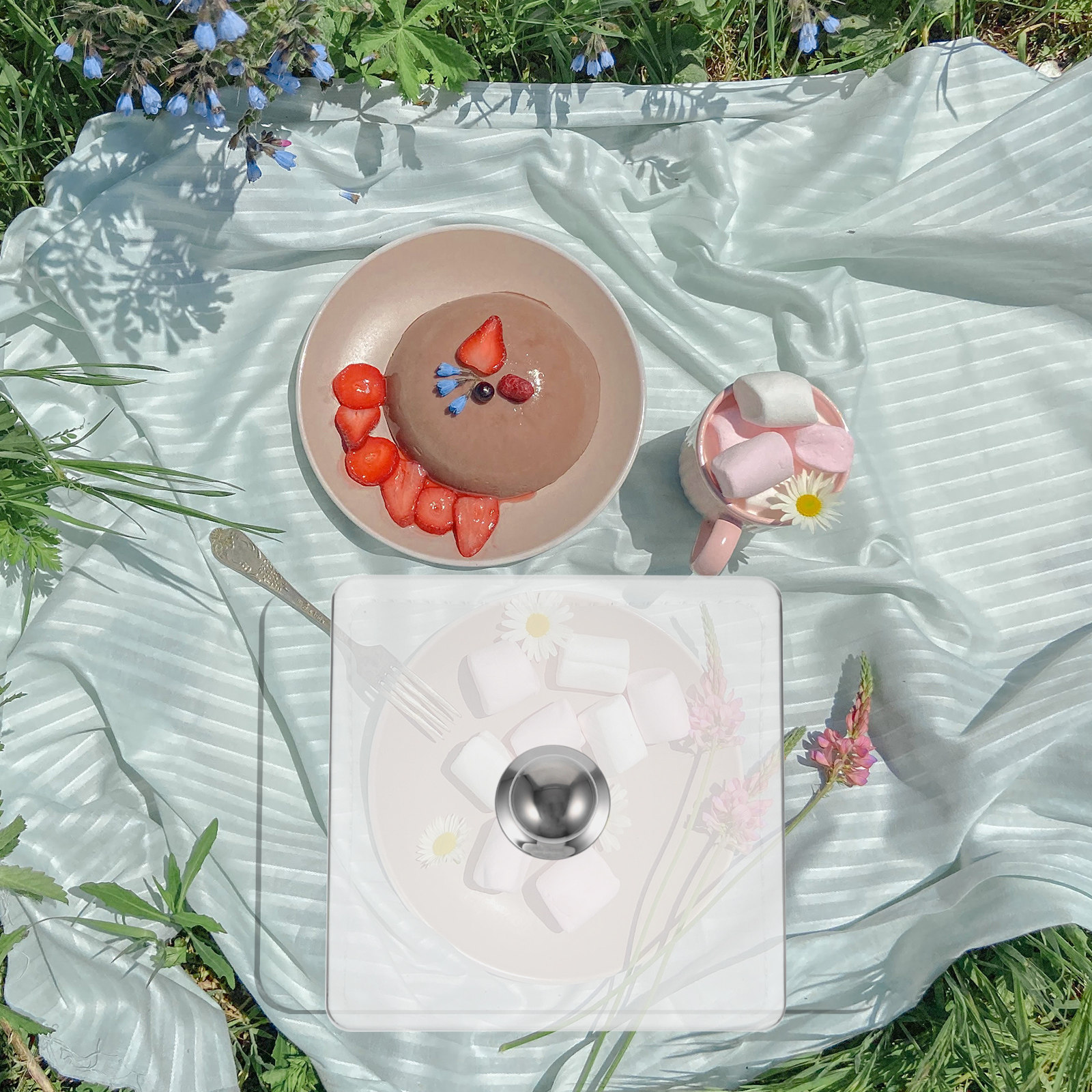 Plastic Dome Clear - Square Glass Cake Dome Buffet Clear