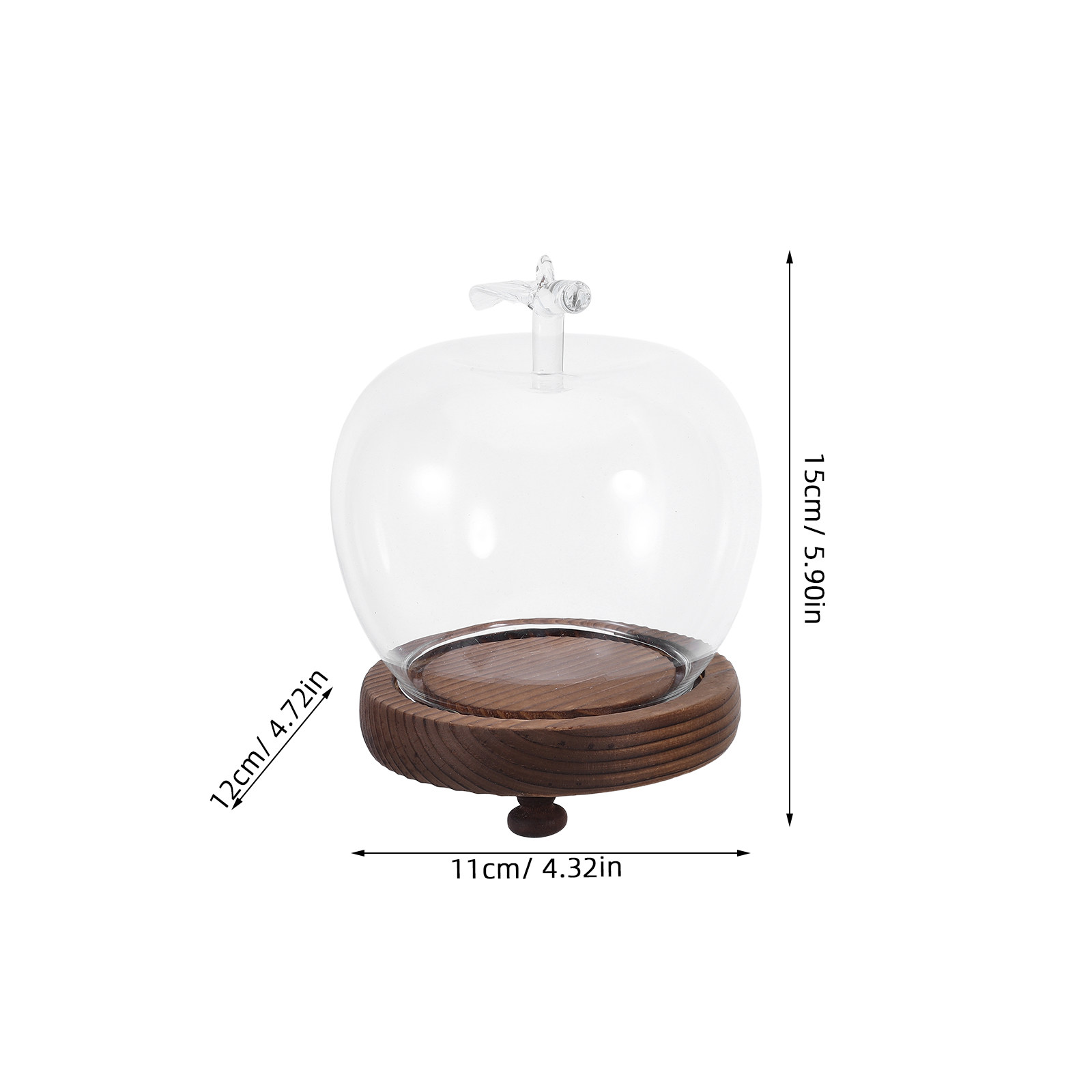 Decorative Glass Dome with Sol - Plastic Dome Clear ulasan dan harga