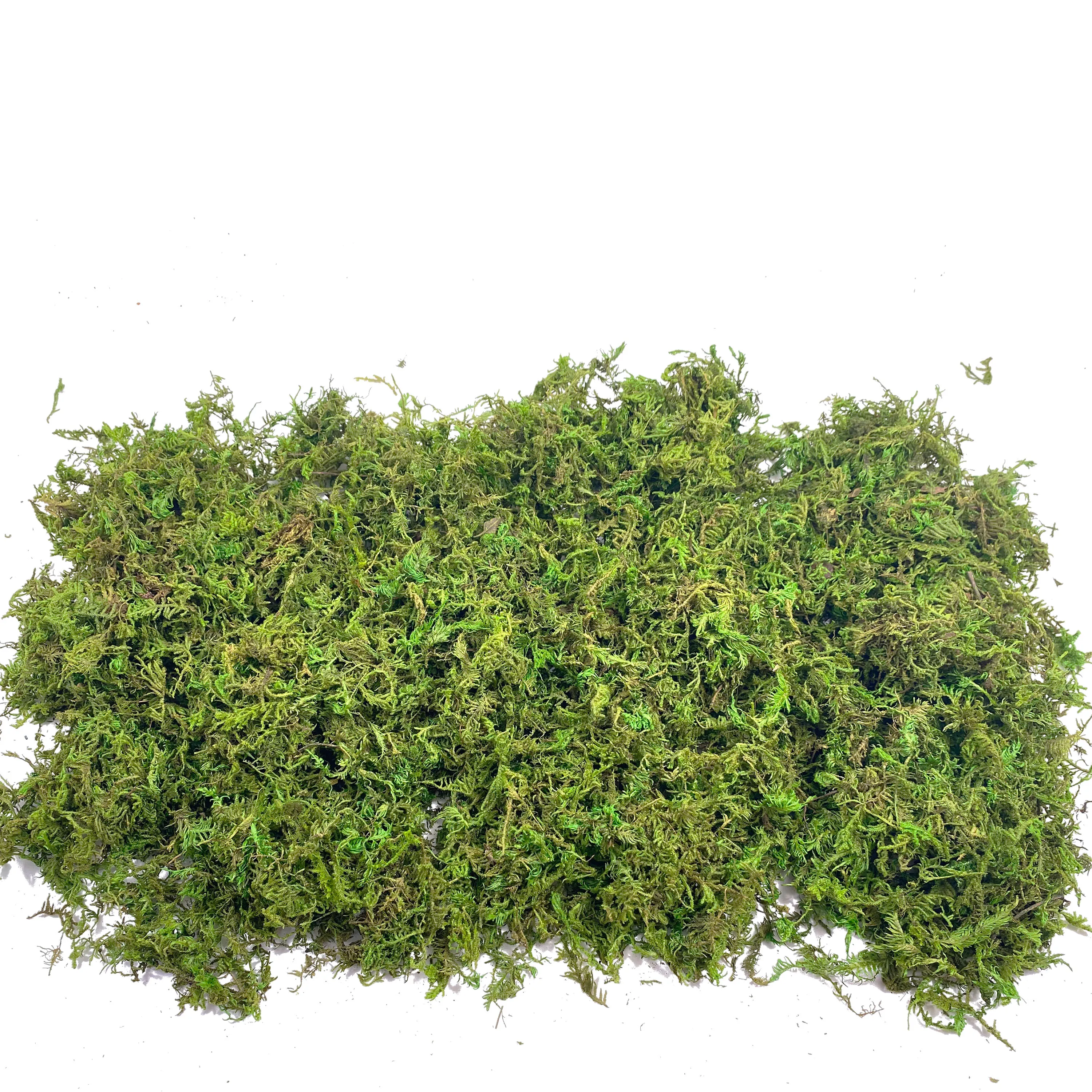Fake Moss Artificial Moss for  - Sphagnum Moss Dry ulasan dan harga