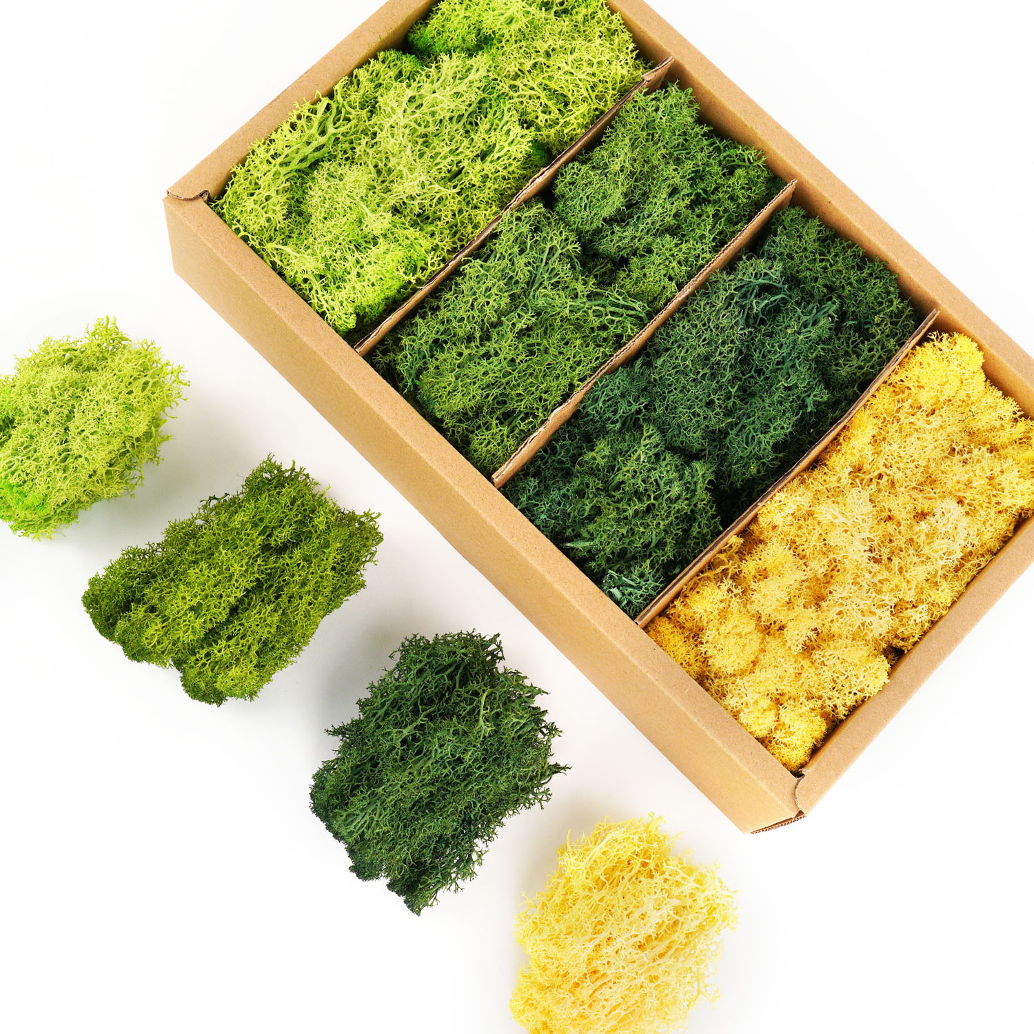 Artificial Green Plants Eterna - Sphagnum Moss Dry ulasan dan harga