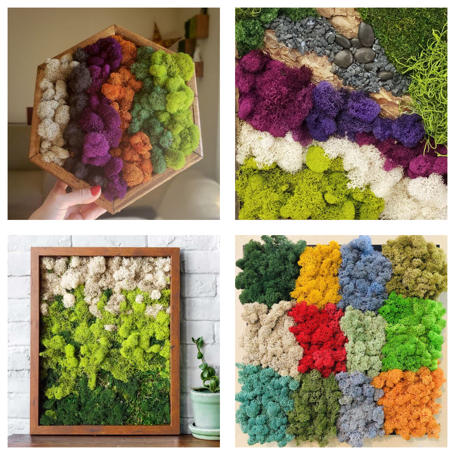 Artificial Green Plants Eterna - Sphagnum Moss Dry ulasan dan harga