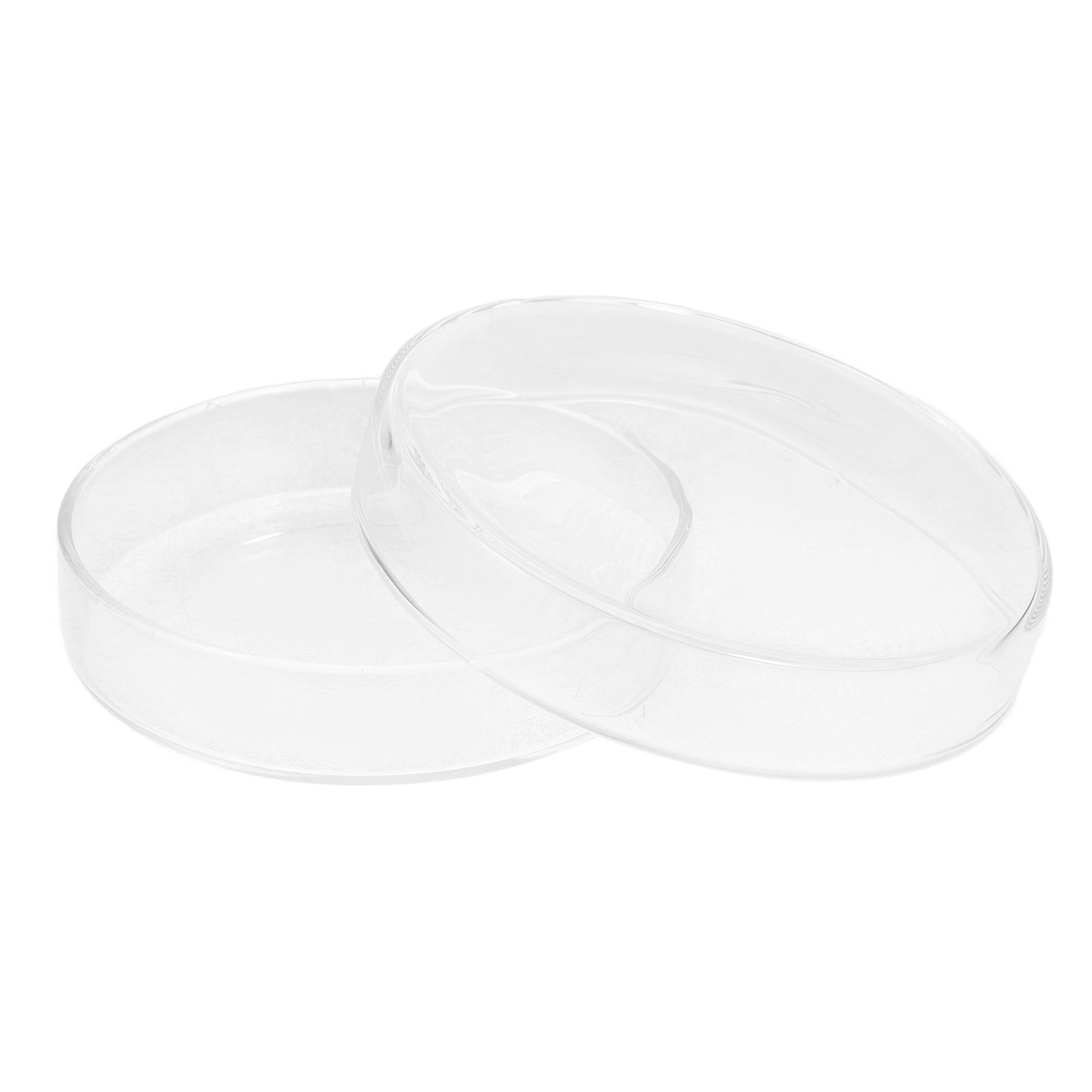 Glass Petri Dish High Borosili - Agar Tissue Culture ulasan dan harga