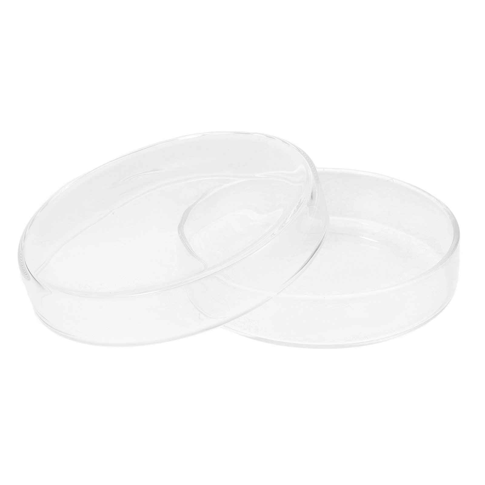 Glass Petri Dish High Borosili - Agar Tissue Culture ulasan dan harga