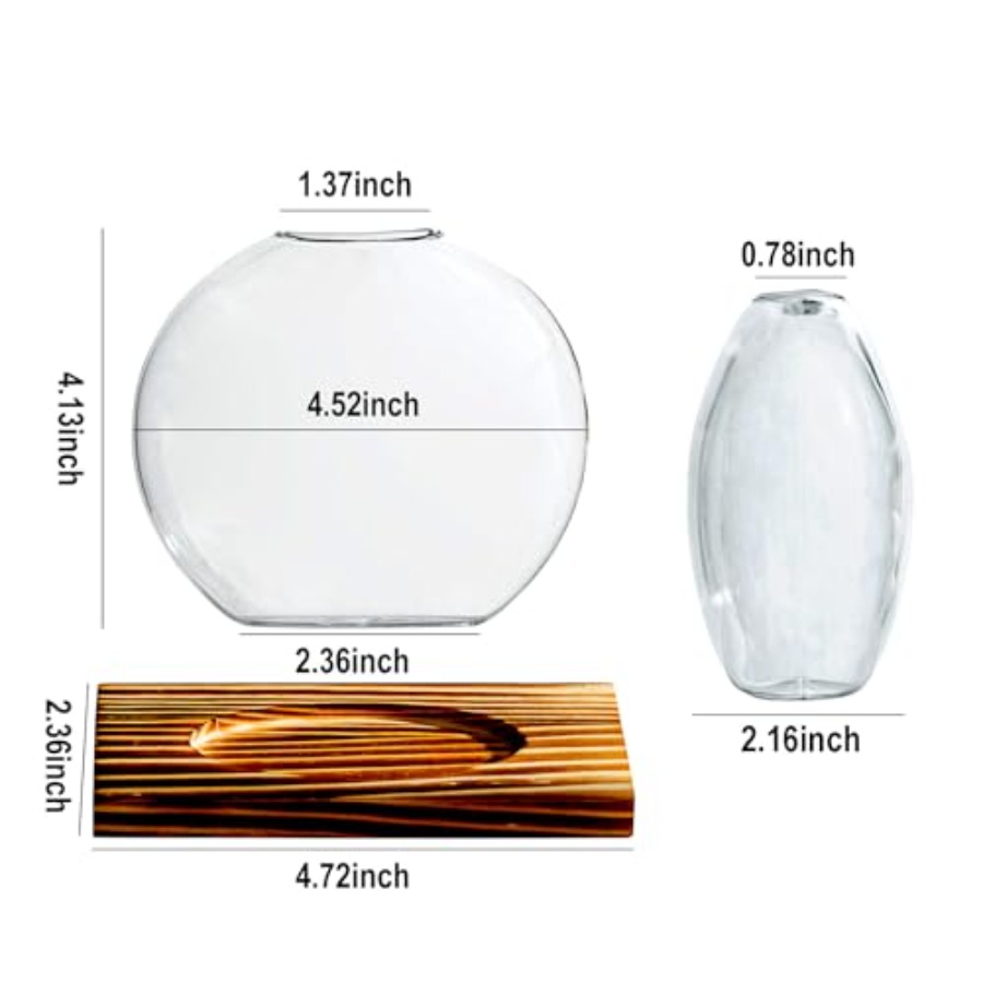 Glass Planter Propagation Stat - Propagation Station Vase ulasan dan harga