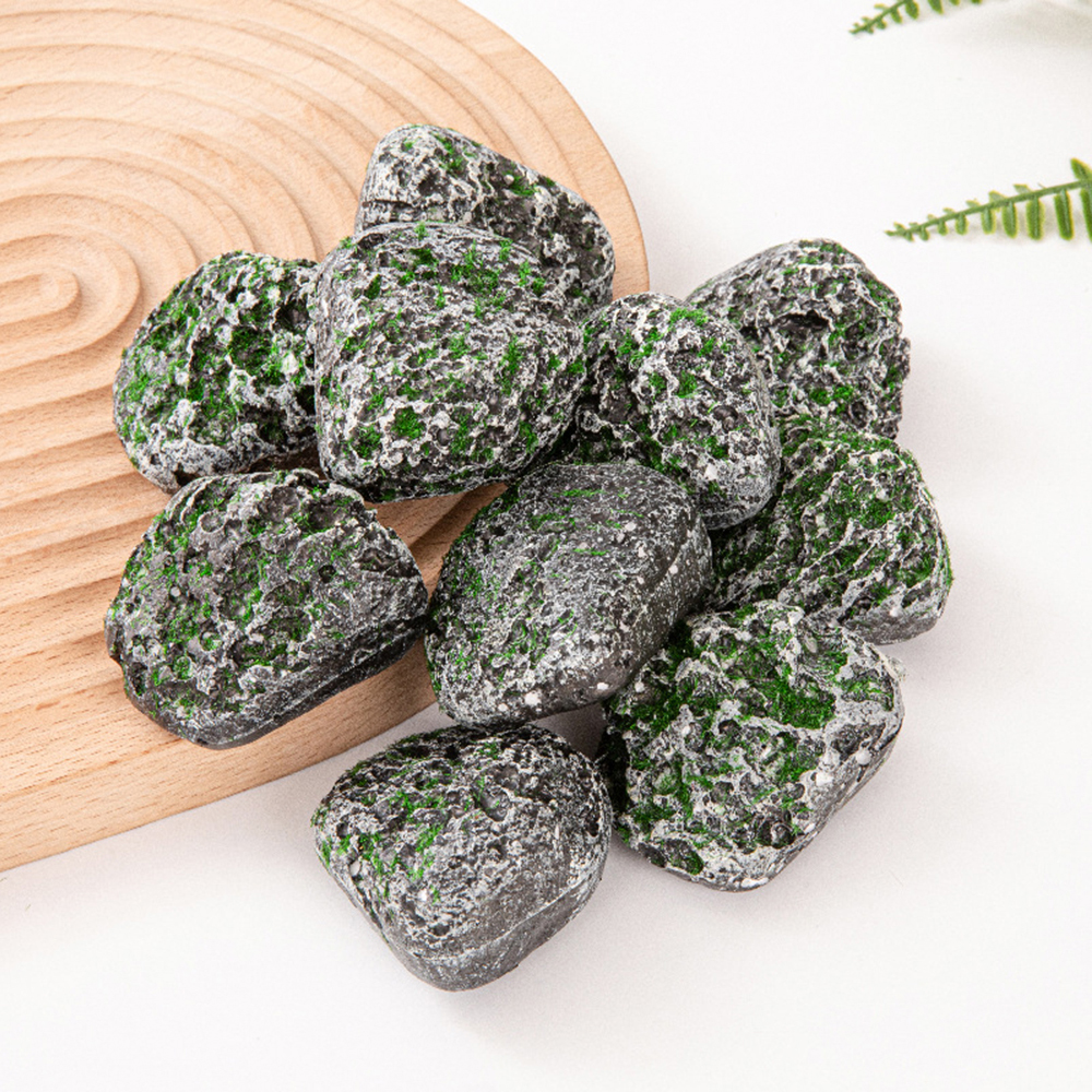 10PCS Mossy Gray Stone Multi-s - Sphagnum Moss Dry ulasan dan harga