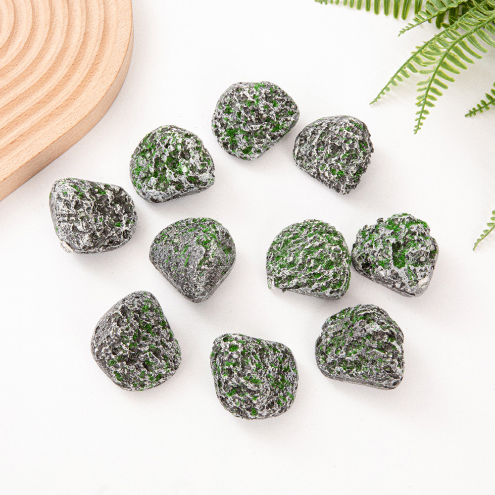 10PCS Mossy Gray Stone Multi-s - Sphagnum Moss Dry ulasan dan harga