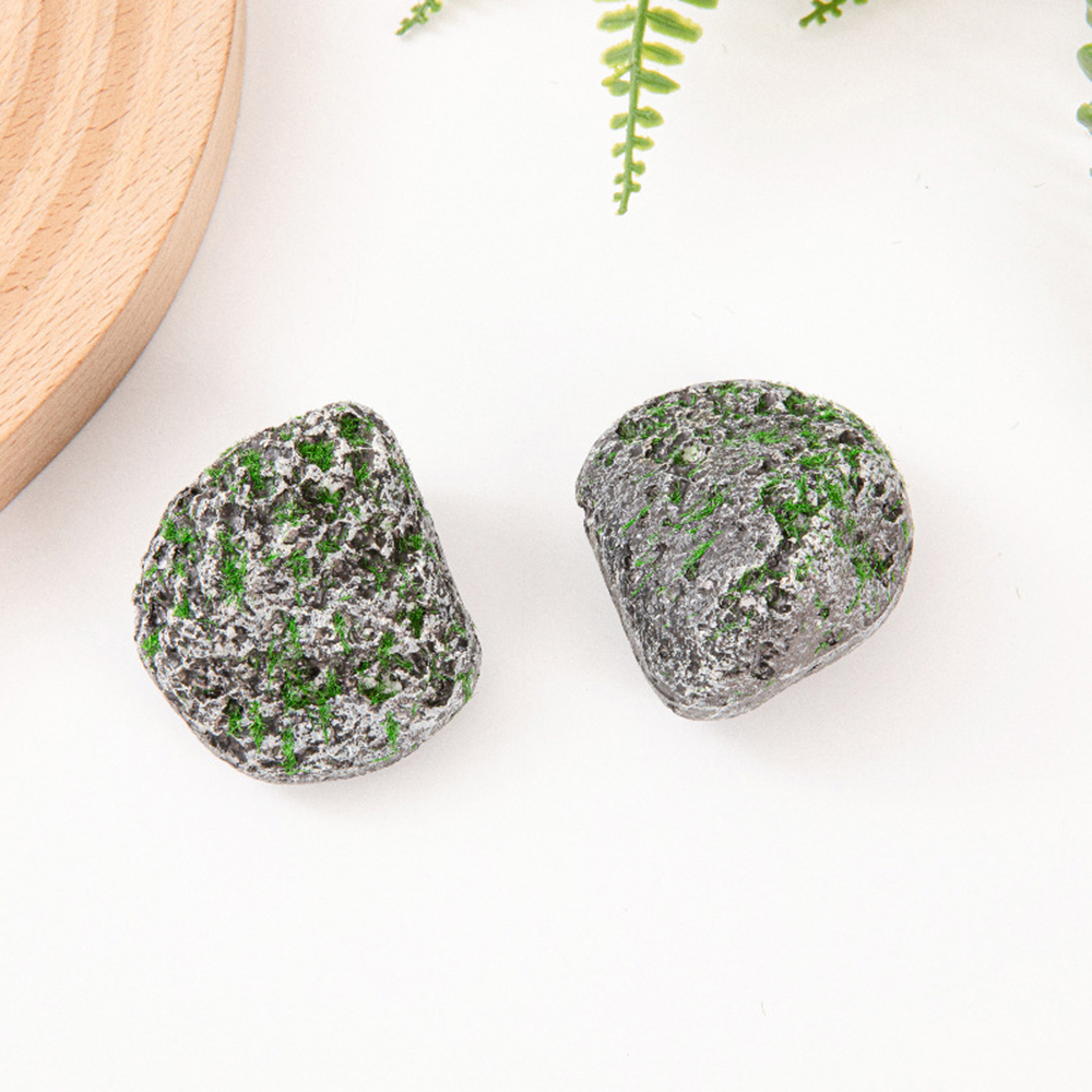 10PCS Mossy Gray Stone Multi-s - Sphagnum Moss Dry ulasan dan harga