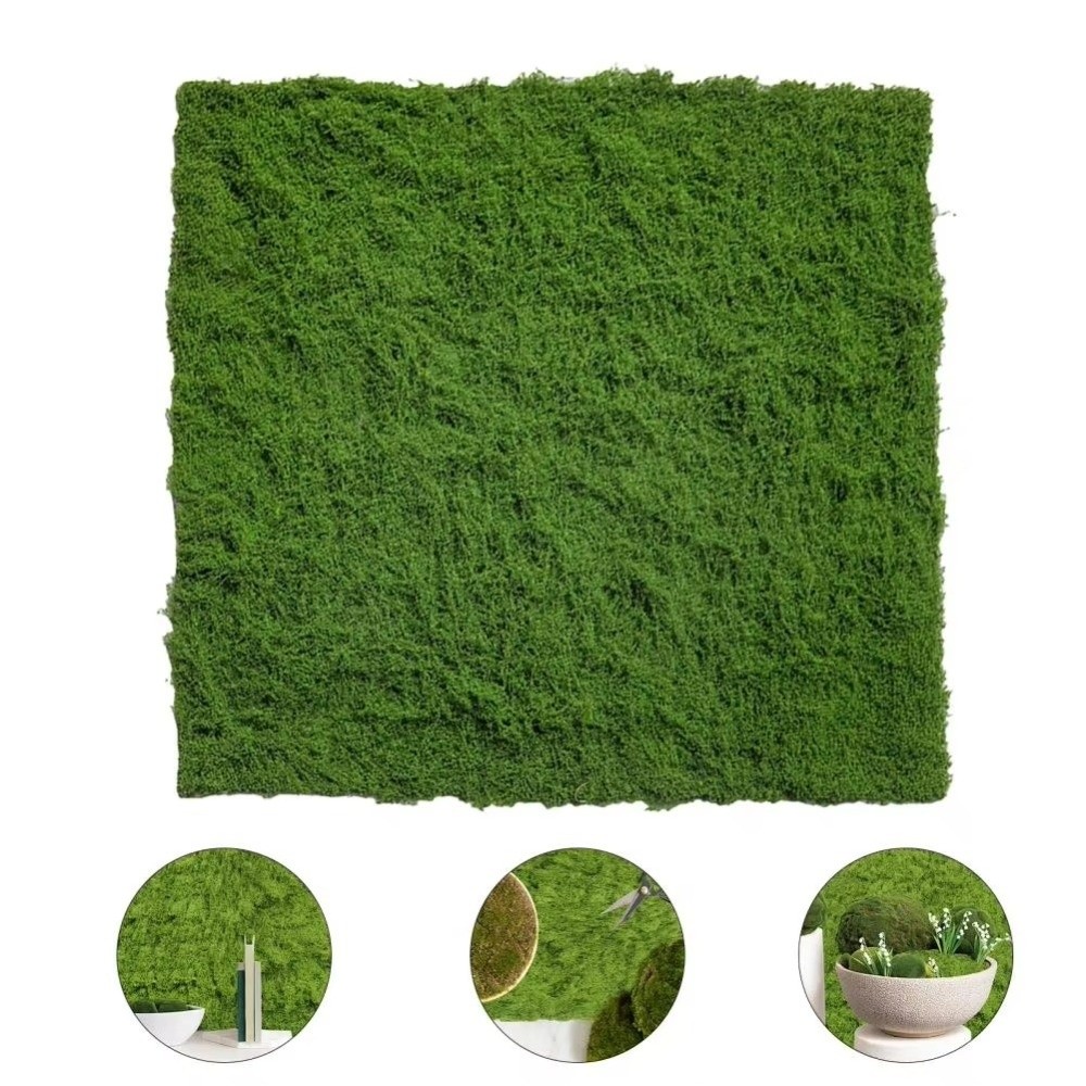 DIY Artificial Grass Rug Lifel - Sphagnum Moss Dry ulasan dan harga