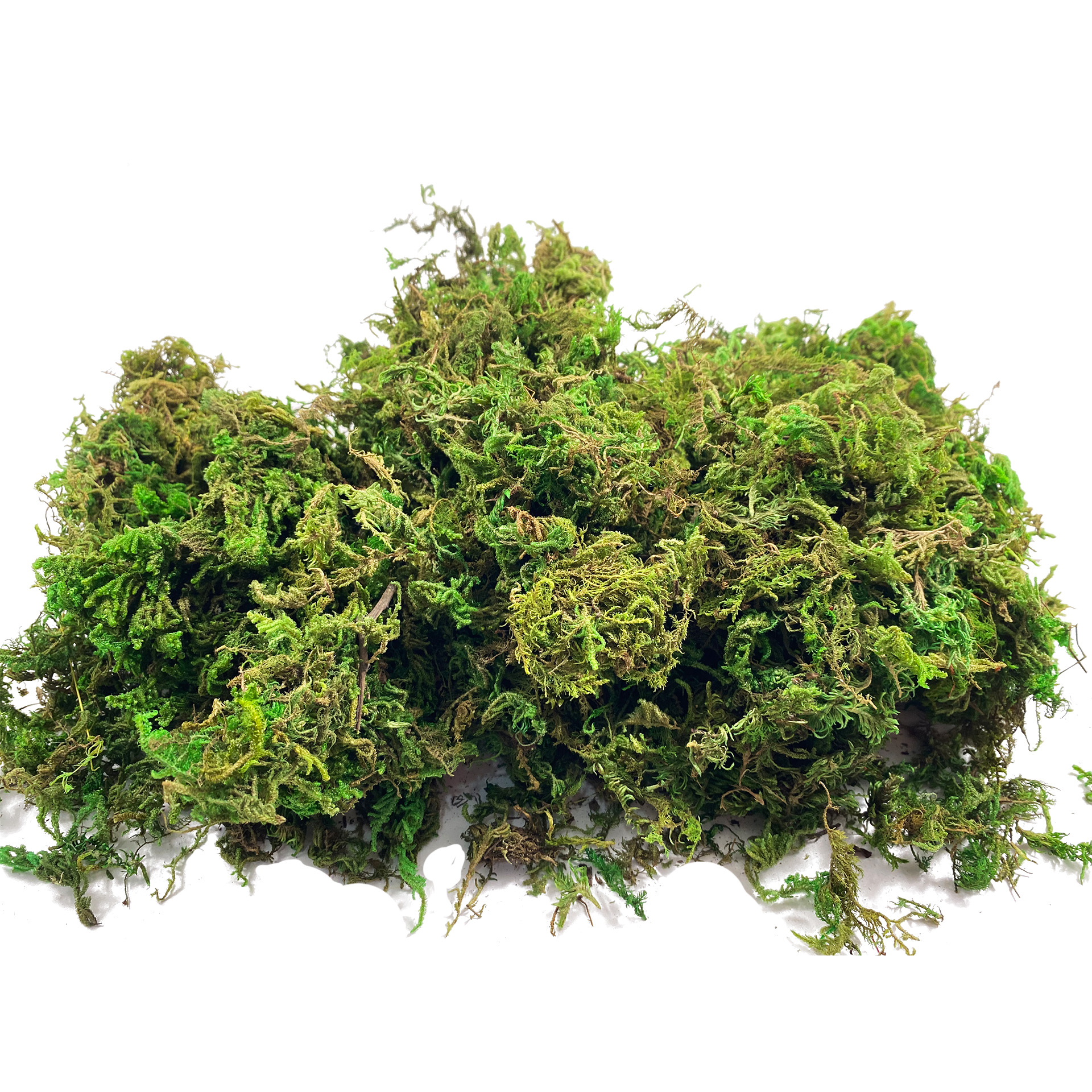 Artificial Fake Moss, Craft Mo - Sphagnum Moss Dry ulasan dan harga