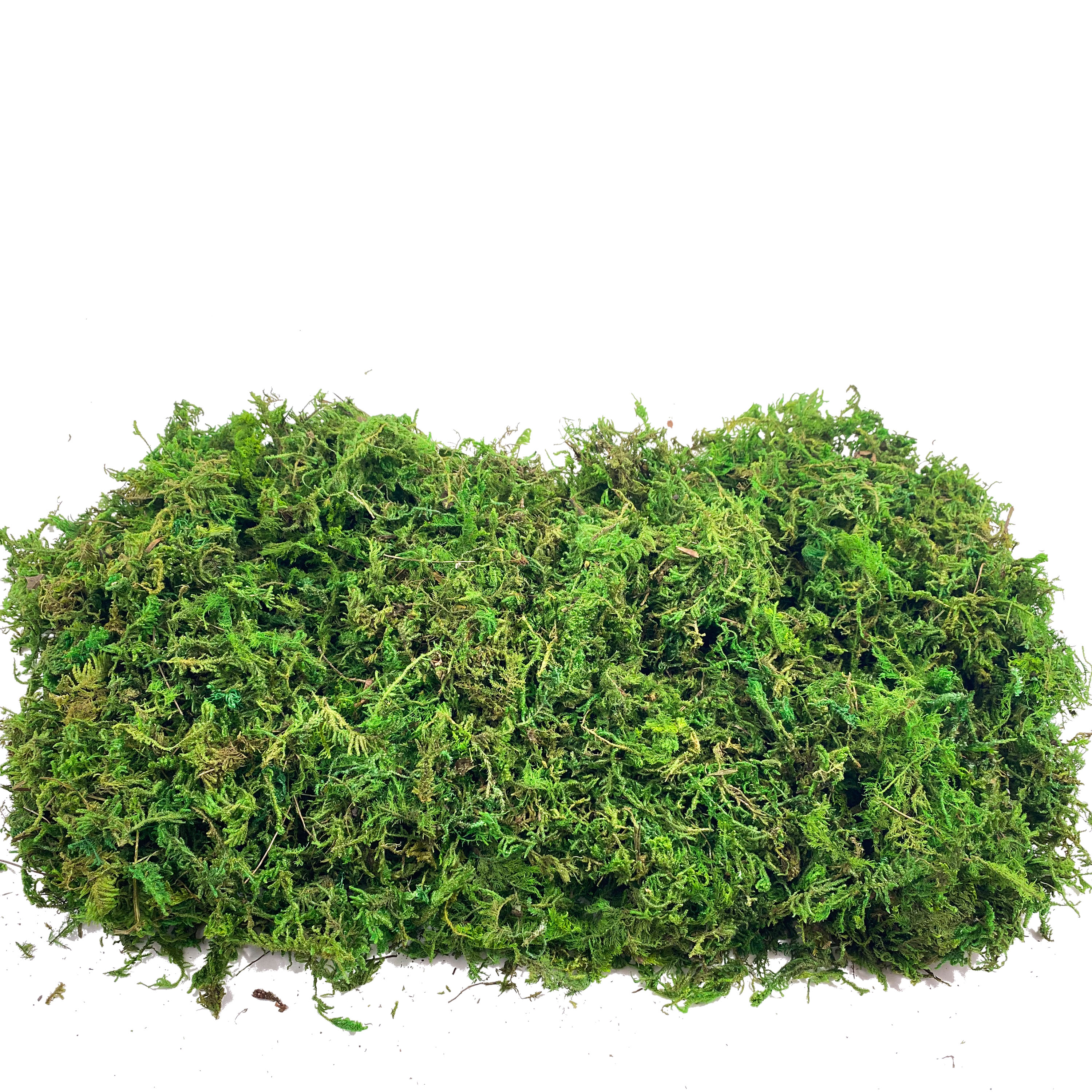 Artificial Fake Moss, Craft Mo - Sphagnum Moss Dry ulasan dan harga