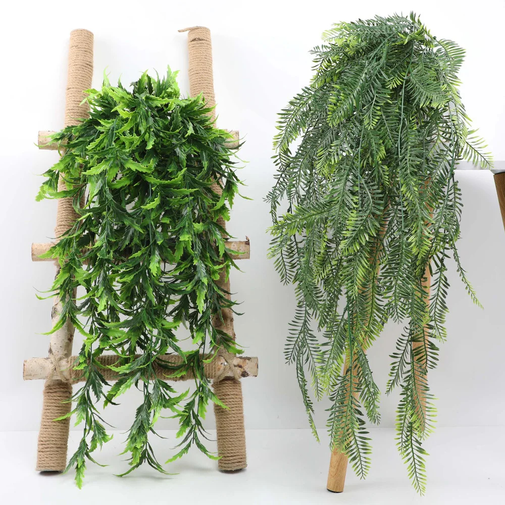 Persian fern Leaves Vines Home - Sphagnum Moss Dry ulasan dan harga