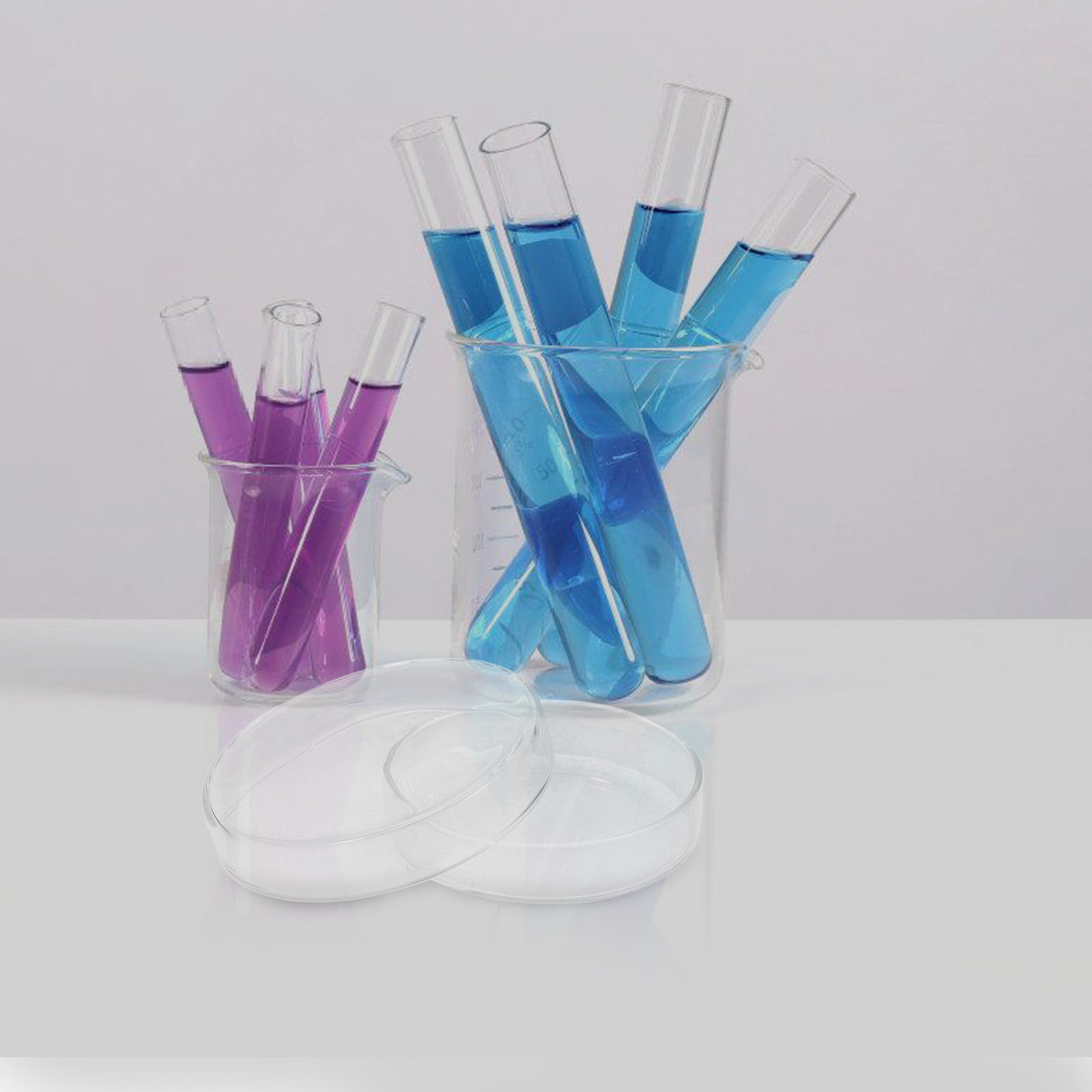 High Borosilicate Glass Petri  - Agar Tissue Culture ulasan dan harga