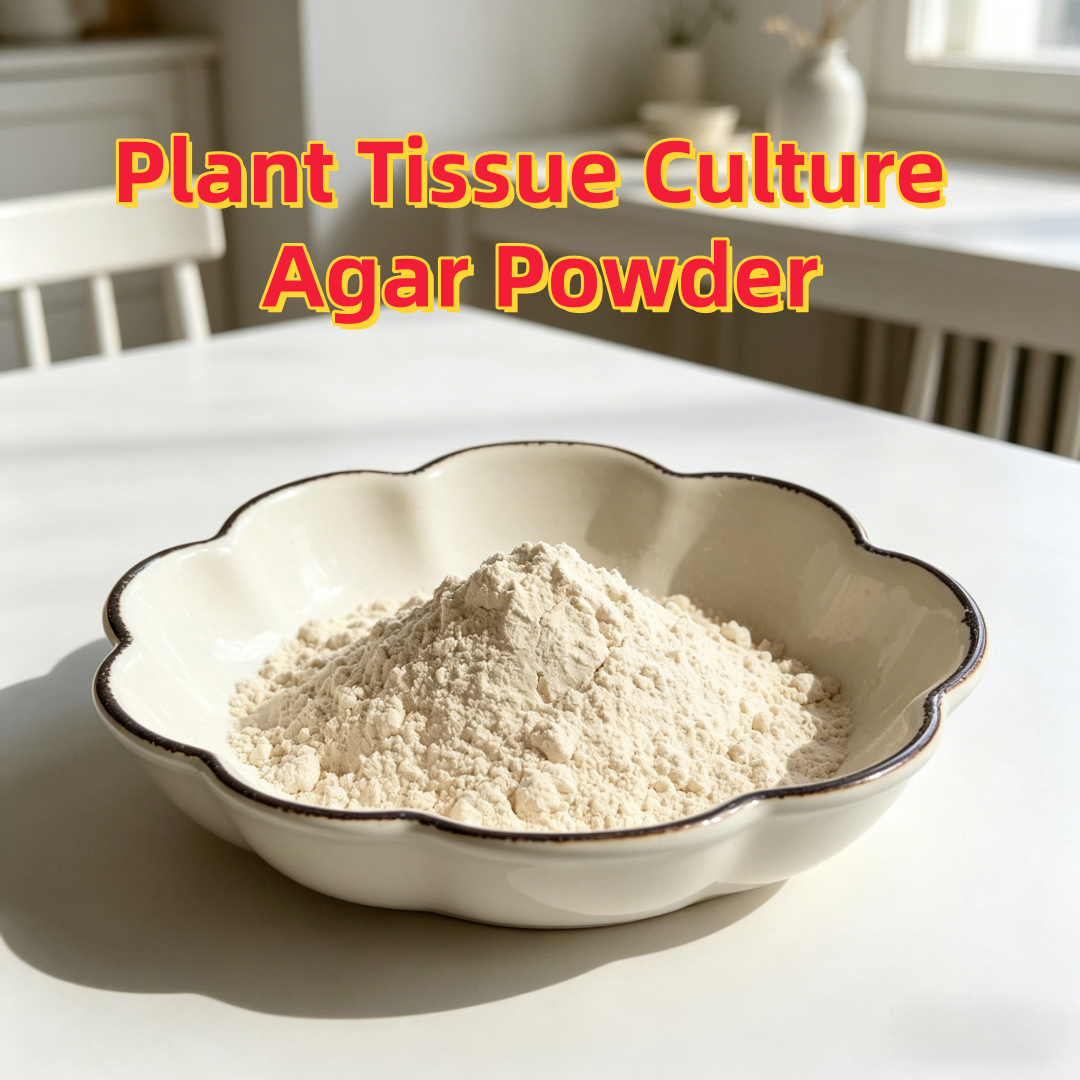 High Gel Strength Plant Tissue - Agar Tissue Culture ulasan dan harga