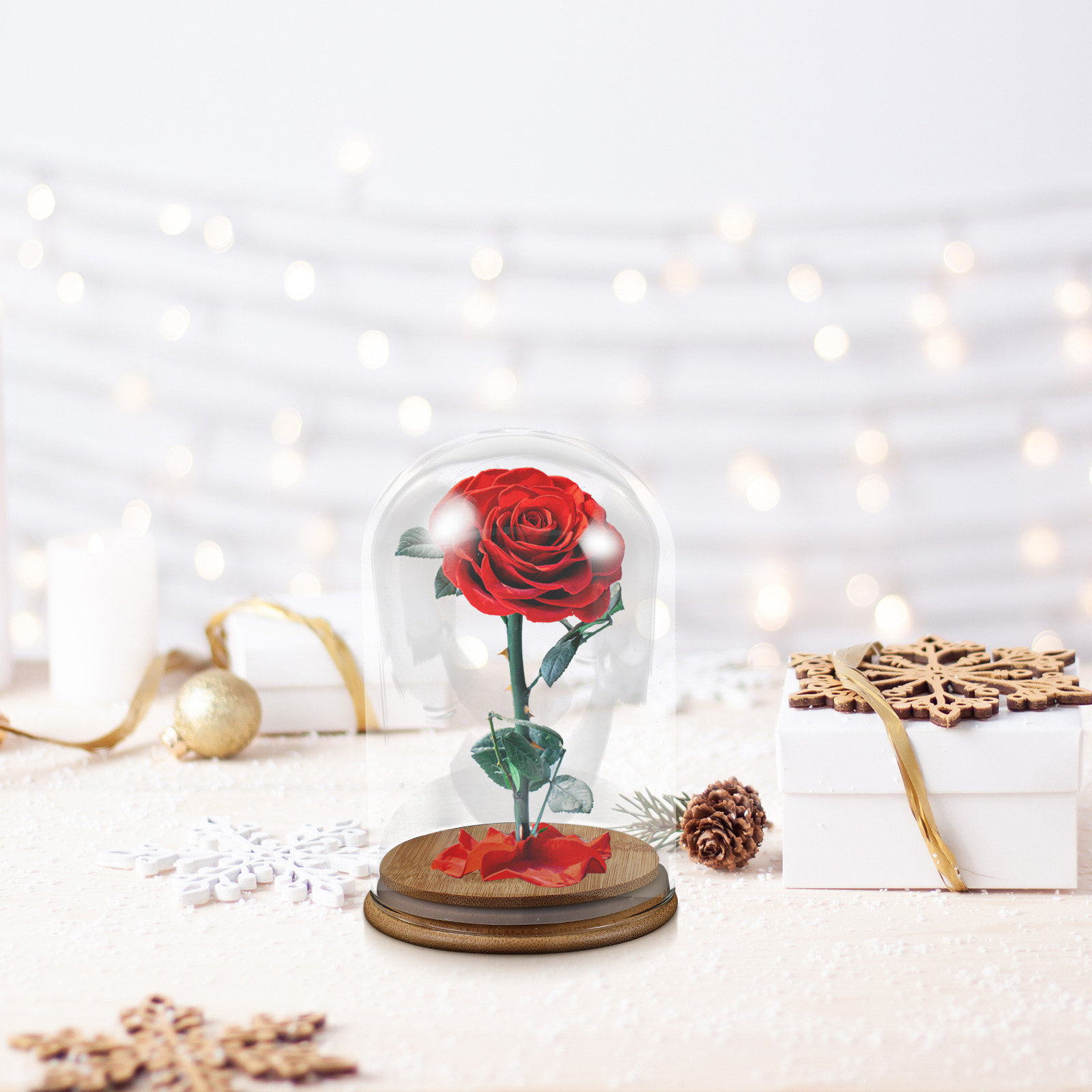 Glass Cloche Display Dome Bell - Plastic Dome Clear ulasan dan harga