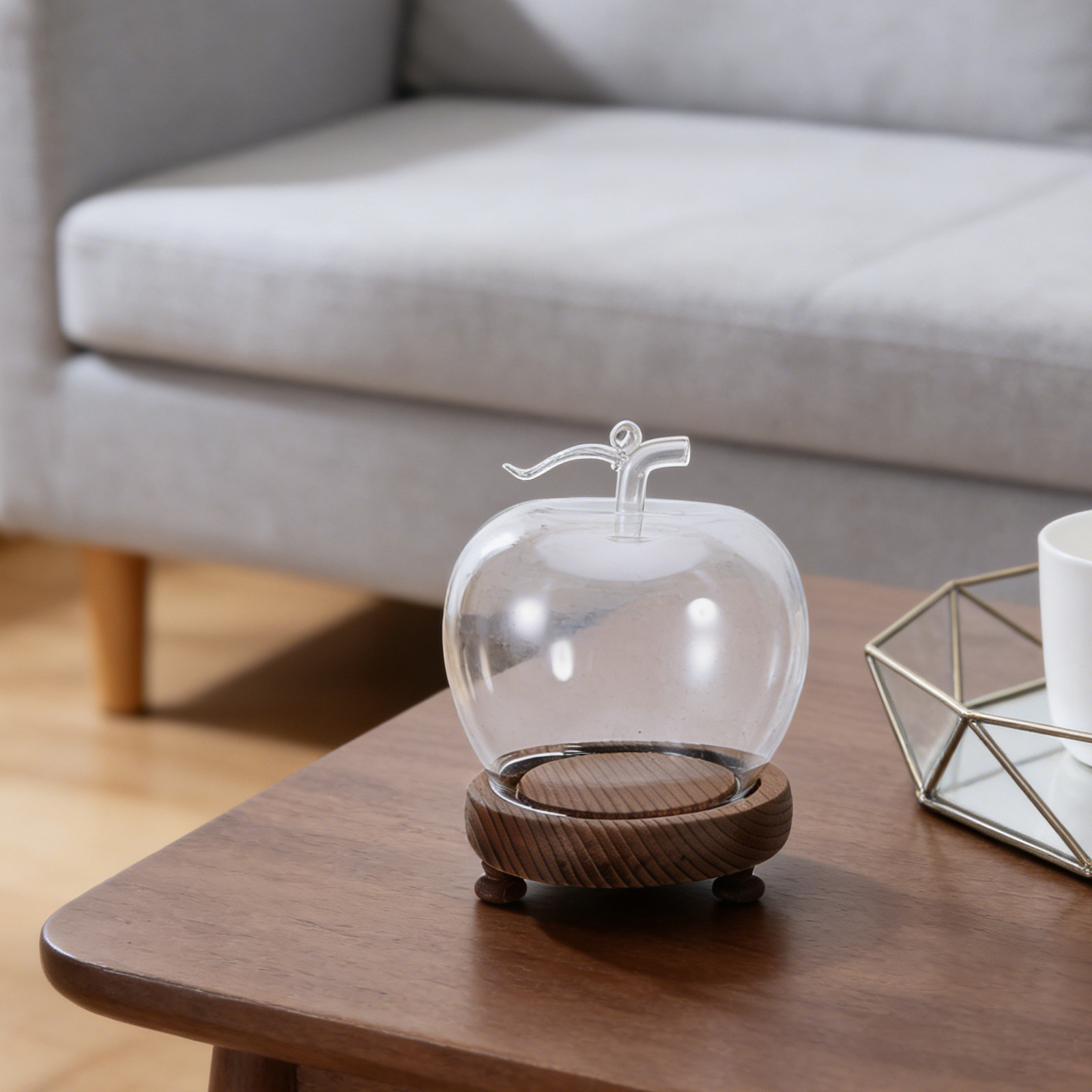 Clear Glass Dome Display with  - Plastic Dome Clear ulasan dan harga