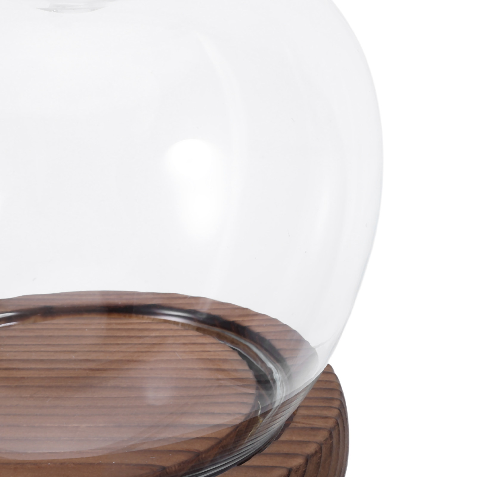 Clear Glass Dome Display with  - Plastic Dome Clear ulasan dan harga