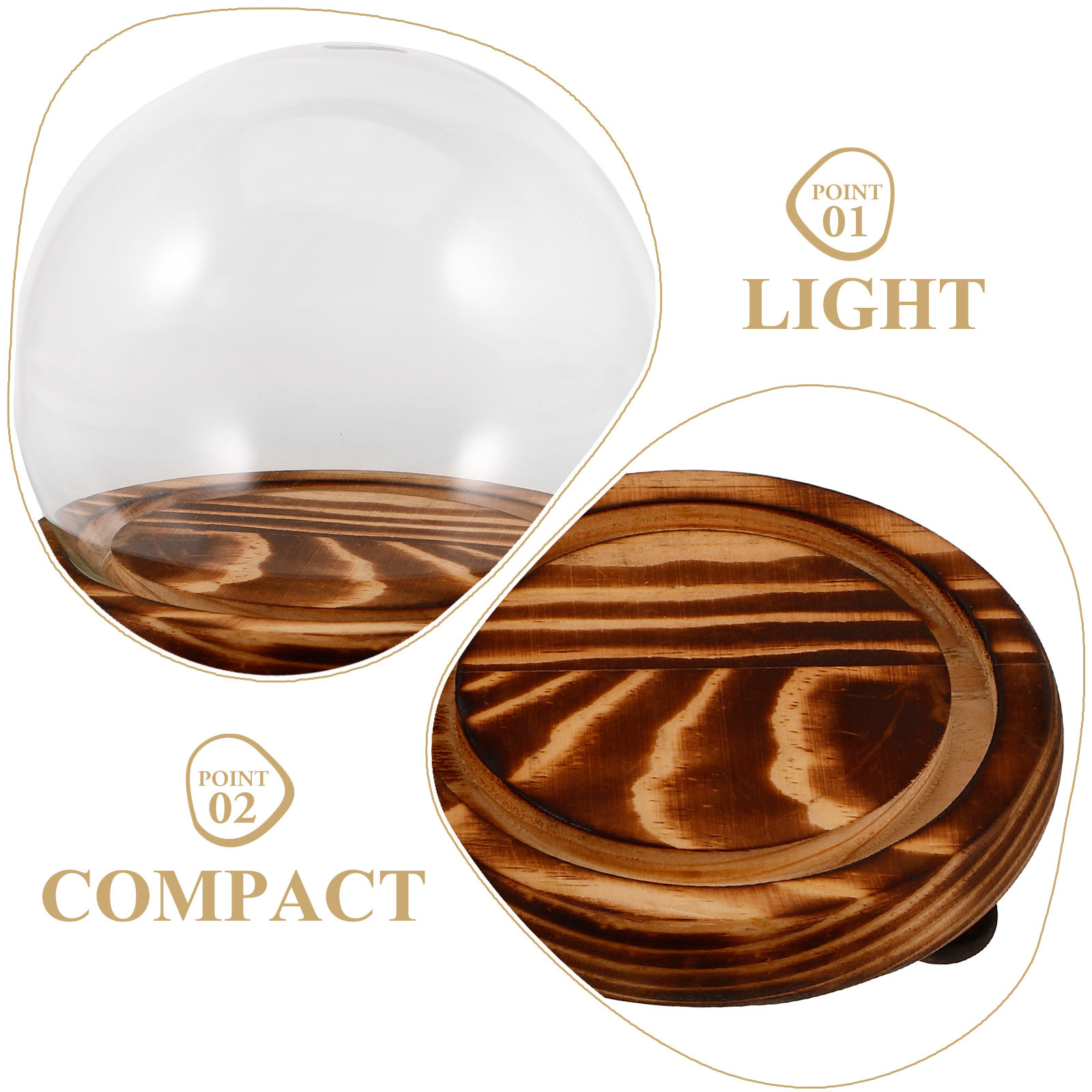 Glass Dome Display Case with W - Plastic Dome Clear ulasan dan harga