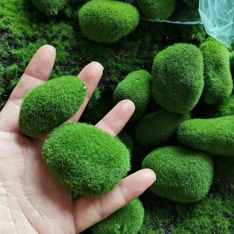 Artificial Green Moss Stones f - Sphagnum Moss Dry ulasan dan harga