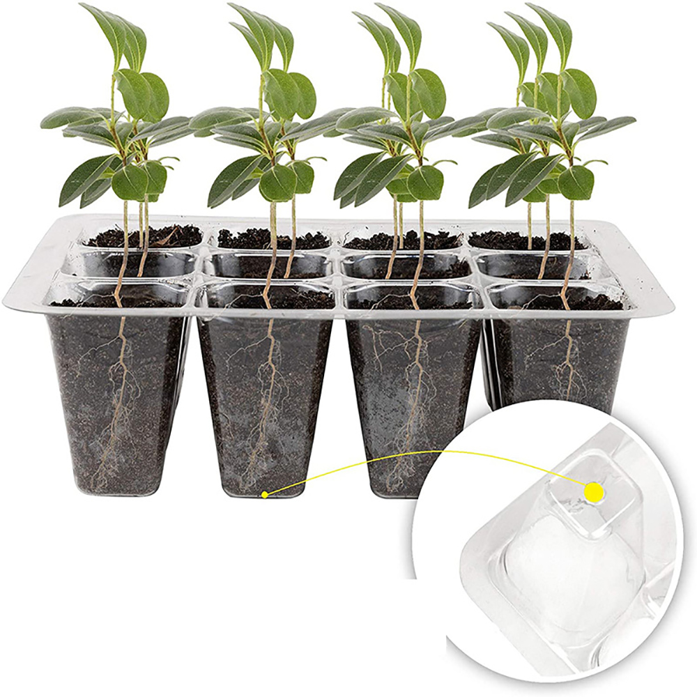 Seed Starter Trays with Grow L - Humidity Dome Kit ulasan dan harga