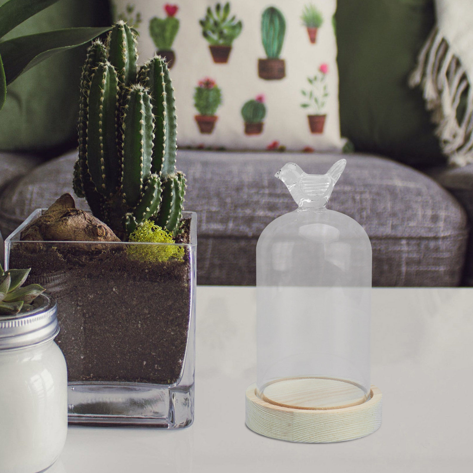 1Pcs Glass Display Cover Clear - Plastic Dome Clear ulasan dan harga