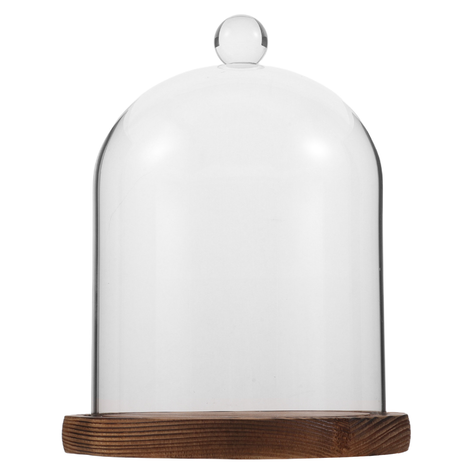 Clear Glass Bell Jar Dome for  - Plastic Dome Clear ulasan dan harga