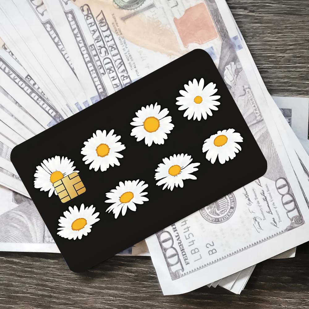 Fashion Art P-Peaceminusone Co - Peat Pellet Tray ulasan dan harga