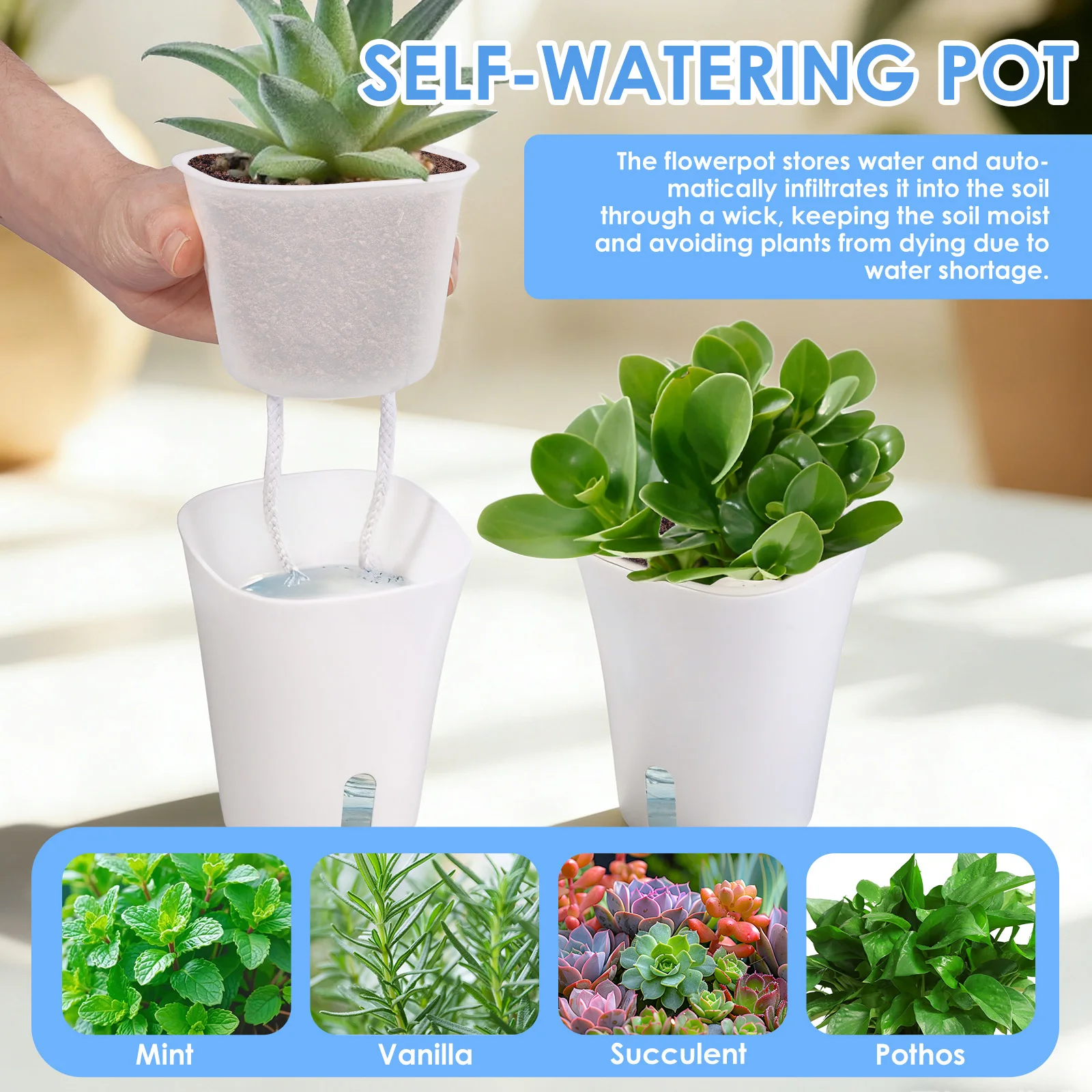 10 Pcs Self Watering Planter L - Self Watering Insert ulasan dan harga