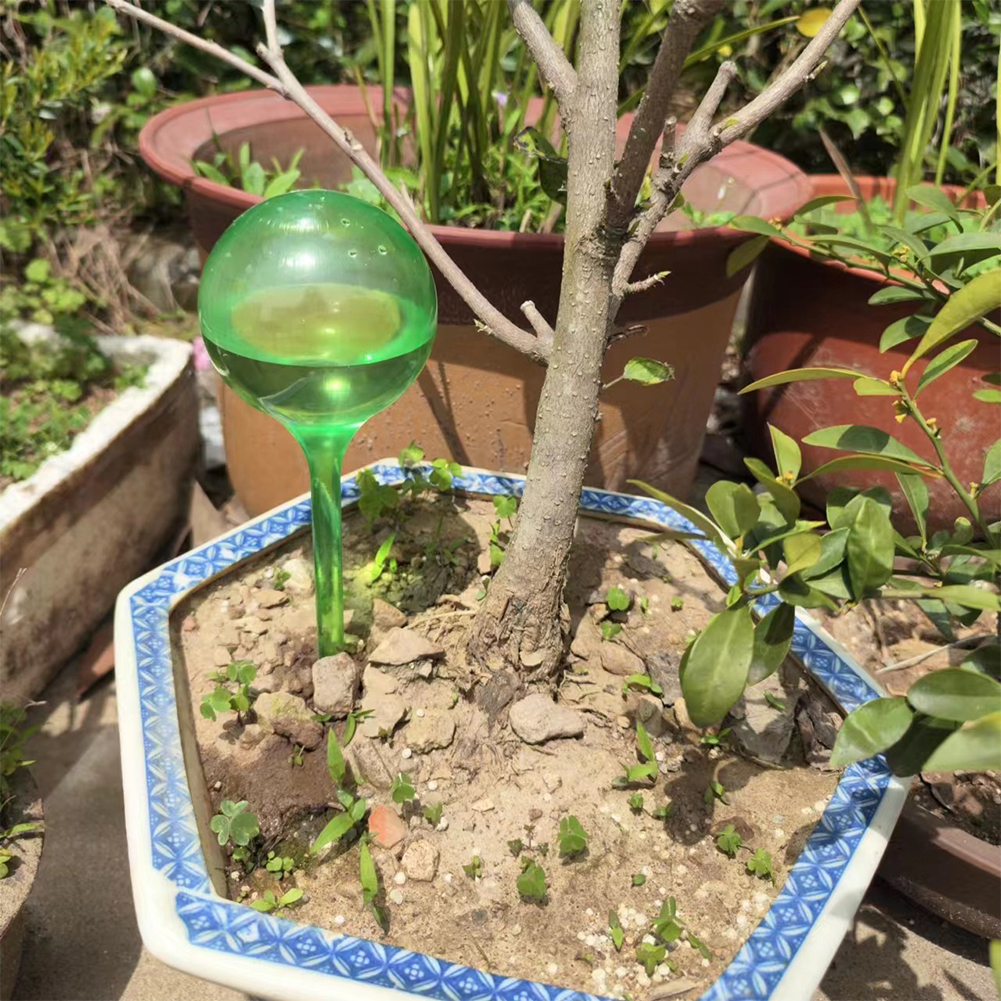Automatic Plant Watering Bulbs - Self Watering Insert ulasan dan harga