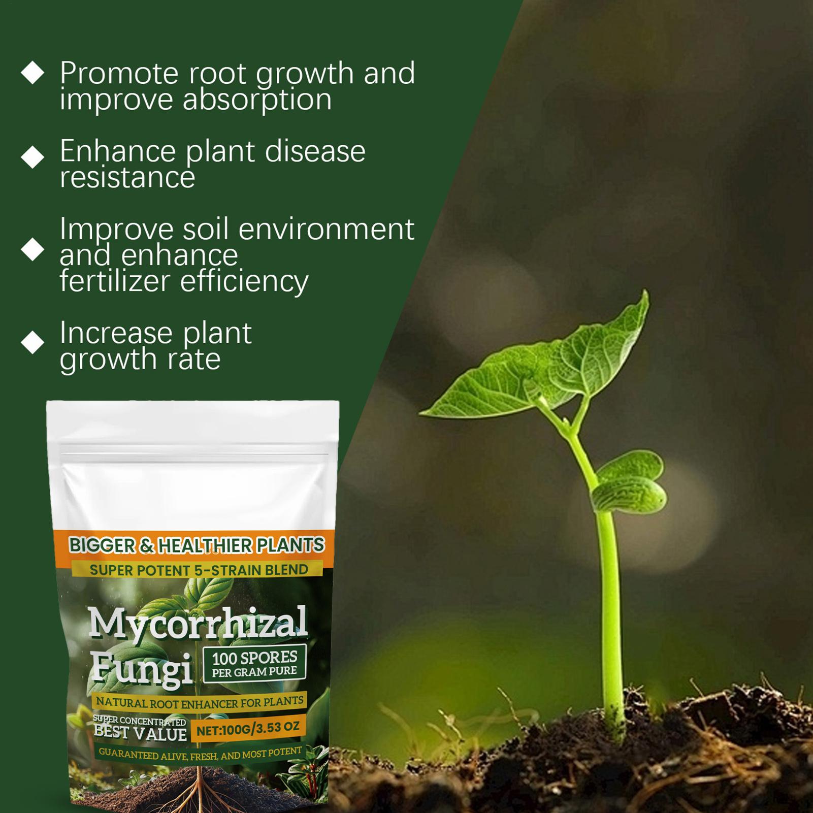 Plant Growth Enhancer Powder 1 - Rooting Hormone Powder ulasan dan harga