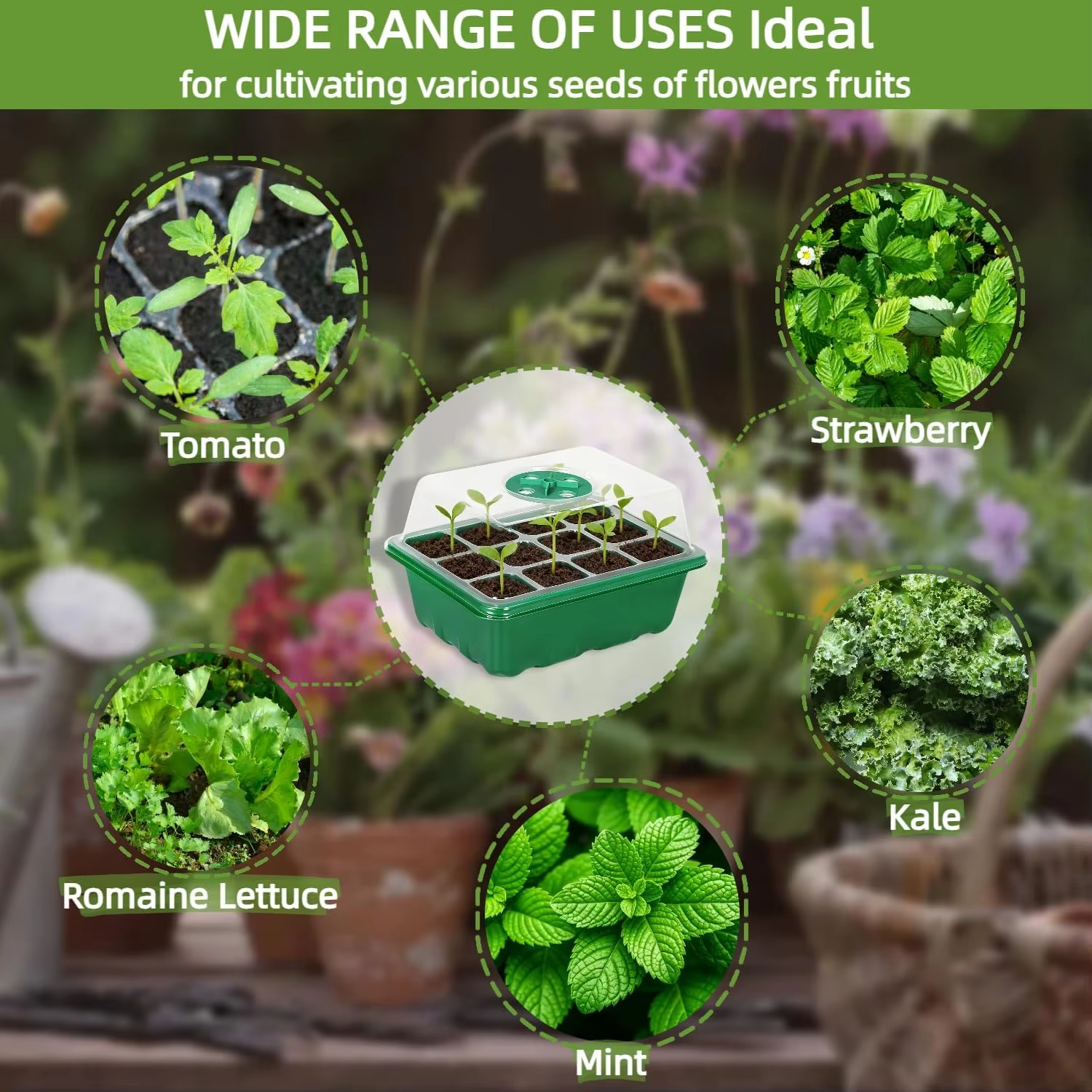 3Pcs Seed Starter Tray Mini Gr - Humidity Dome Kit ulasan dan harga