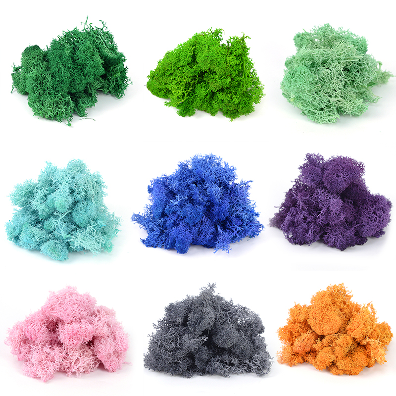 20/40/100g Artificial Green Pl - Sphagnum Moss Dry ulasan dan harga