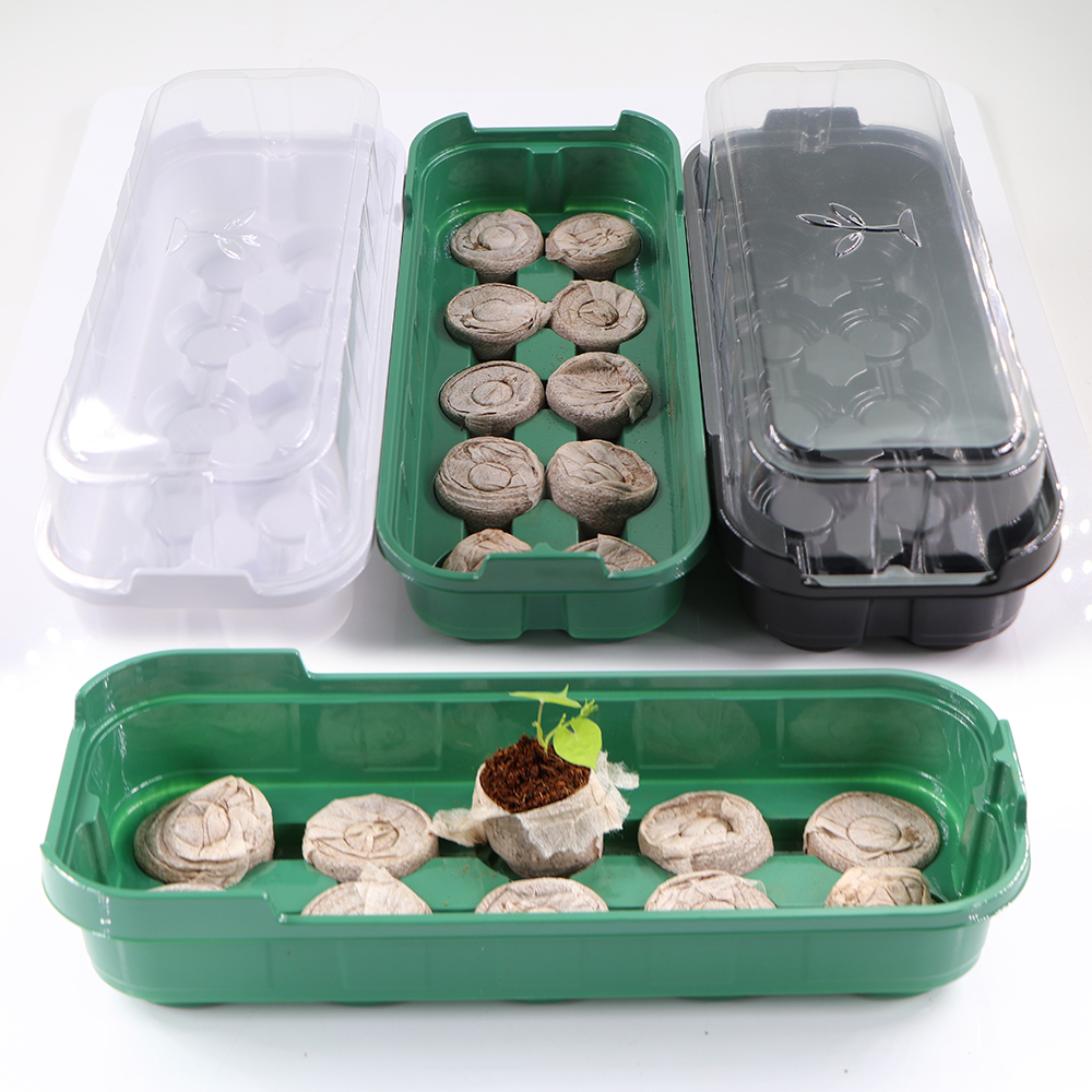10 Cells Seedling Trays Germin - Peat Pellet Tray ulasan dan harga