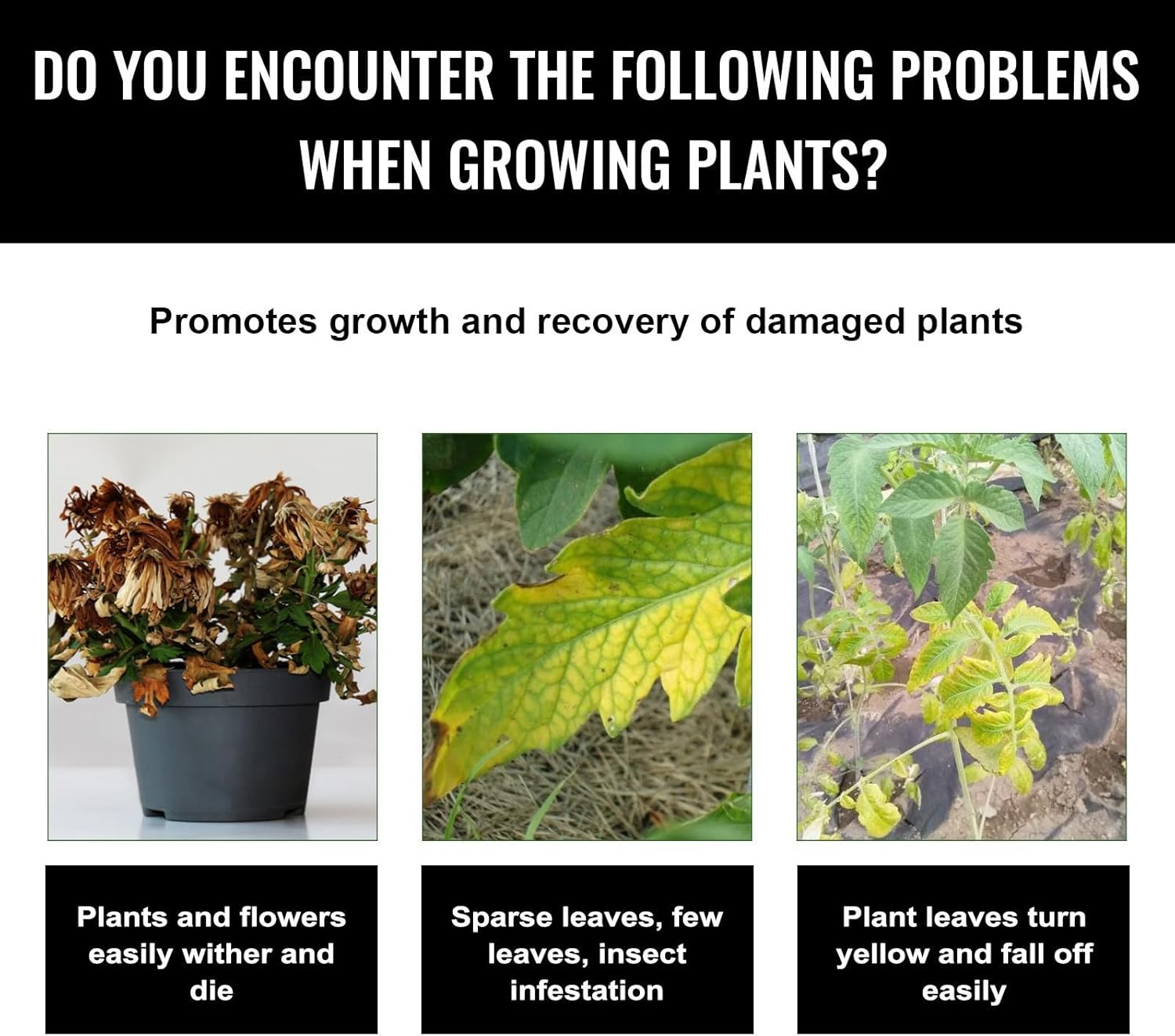 Liquid Plant Growth Enhancers  - Root Stimulator Liquid ulasan dan harga