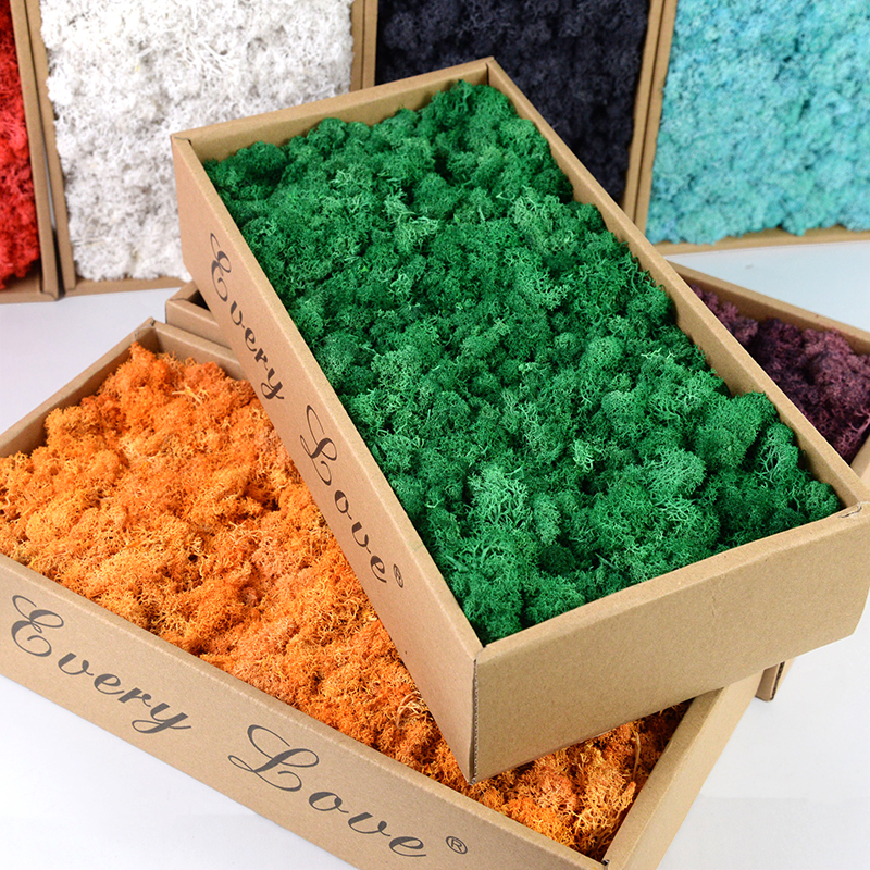 40/20g Artificial Moss Grass G - Sphagnum Moss Dry ulasan dan harga