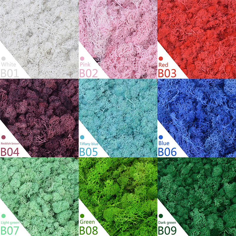 40/20g Artificial Moss Grass G - Sphagnum Moss Dry ulasan dan harga